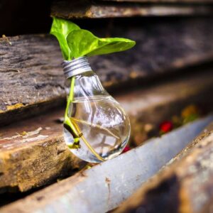 Arredamento Sostenibile: Scelte Green per la Tua Casa